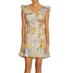 NWT Wildfox Floral V Mini Sun Dress Large
